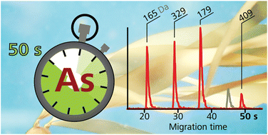 Graphical abstract: Fast separations by capillary electrophoresis hyphenated to electrospray ionization time-of-flight mass spectrometry as a tool for arsenic speciation analysis