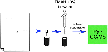 Graphical abstract: Detection and quantification of traces of bisphenol A and bisphenol S in paper samples using analytical pyrolysis-GC/MS