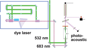 Graphical abstract: Trace gas detection of molecular hydrogen H2 by photoacoustic stimulated Raman spectroscopy (PARS)