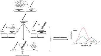 Graphical abstract: Graphene oxide integrated sensor for electrochemical monitoring of mitomycin C–DNA interaction