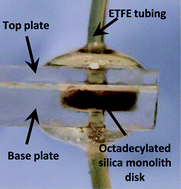 Graphical abstract: Fabrication of an octadecylated silica monolith inside a glass microchip for protein enrichment