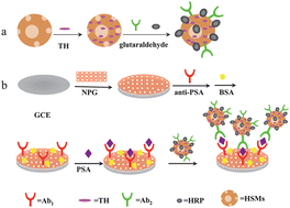 Graphical abstract: Hollow mesoporous silica microspheres as sensitive labels for immunoassay of prostate-specific antigen
