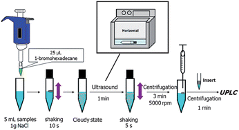 Graphical abstract: Determination of endocrine-disrupting phenols in water samples by a new manual shaking-enhanced, ultrasound-assisted emulsification microextraction method