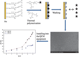 Graphical abstract: Development of molecularly imprinted polymer films used for detection of profenofos based on a quartz crystal microbalance sensor