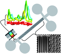 Graphical abstract: Surface enhanced Raman spectroscopy for microfluidic pillar arrayed separation chips