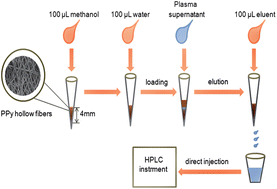 Graphical abstract: Polypyrrole hollow fiber for solid phase extraction