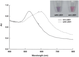 Graphical abstract: Novel colorimetric assay of LSD1 activity using gold nanoparticles