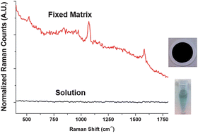Graphical abstract: Enhancing the SERS properties of nanoworms by matrix formation