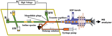 Graphical abstract: Elimination of suction effect in interfacing microchip electrophoresis with inductively coupled plasma mass spectrometry using porous monolithic plugs