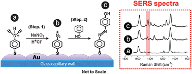 Graphical abstract: Selective detection of aqueous nitrite ions by surface-enhanced Raman scattering of 4-aminobenzenethiol on Au