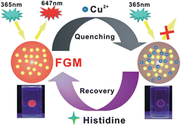 Graphical abstract: Recyclable fluorescent gold nanocluster membrane for visual sensing of copper(ii) ion in aqueous solution