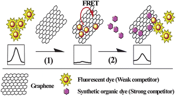 Graphical abstract: Fast and sensitive dye-sensor based on fluorescein/reduced graphene oxide complex