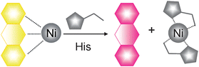 Graphical abstract: An indicator-displacement assay for naked-eye detection and quantification of histidine in human urine