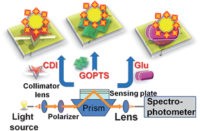 Graphical abstract: Surface functionalization chemistries on highly sensitive silica-based sensor chips