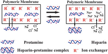 Graphical abstract: Polycation-sensitive membrane electrode for determination of heparin based on controlled release of protamine