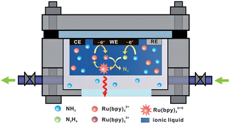 Graphical abstract: Ultrasensitive gaseous NH3 sensor based on ionic liquid-mediated signal-on electrochemiluminescence