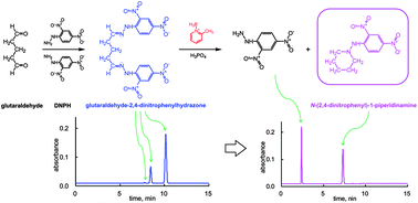 Graphical abstract: Reductive amination of glutaraldehyde 2,4-dinitrophenylhydrazone using 2-picoline borane and high-performance liquid chromatographic analysis
