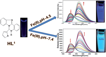 Graphical abstract: A ratiometric fluorescent chemosensor for iron: discrimination of Fe2+ and Fe3+ and living cell application