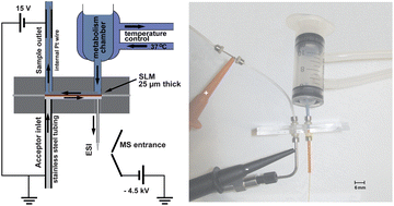 Graphical abstract: On-chip electromembrane extraction for monitoring drug metabolism in real time by electrospray ionization mass spectrometry