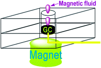 Graphical abstract: Electrochemical antioxidant detection technique based on guanine-bonded graphene and magnetic nanoparticles composite materials