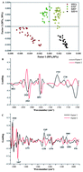 Graphical abstract: Discrimination of functional hepatocytes derived from mesenchymal stem cells using FTIR microspectroscopy