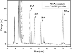 Graphical abstract: Simultaneous determination of four plant hormones in bananas by molecularly imprinted solid-phase extraction coupled with high performance liquid chromatography