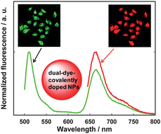 Graphical abstract: Silylated BODIPY dyes and their use in dye-encapsulated silica nanoparticles with switchable emitting wavelengths for cellular imaging