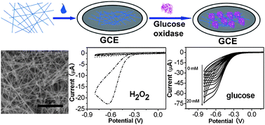 Graphical abstract: Hydrogen peroxide and glucose biosensor based on silver nanowires synthesized by polyol process