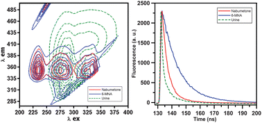 Graphical abstract: Simultaneous determination of nabumetone and its principal metabolite in medicines and human urine by time-resolved fluorescence