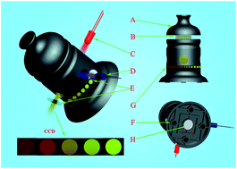 Graphical abstract: A simple colorimetric device for rapid detection of Hg2+ in water