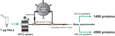 Graphical abstract: In-house construction of a UHPLC system enabling the identification of over 4000 protein groups in a single analysis