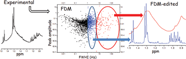 Graphical abstract: Processing of high resolution magic angle spinning spectra of breast cancer cells by the filter diagonalization method