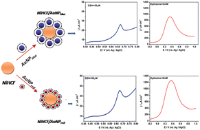 Graphical abstract: Size-dependence enhancement in electrocatalytic activity of NiHCF-gold nanocomposite: potential application in electrochemical sensing