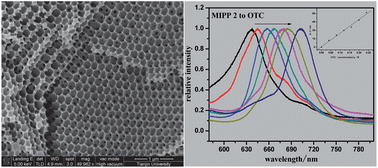 Graphical abstract: A molecularly imprinted photonic polymer sensor with high selectivity for tetracyclines analysis in food