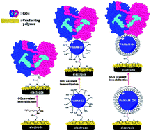 Graphical abstract: Functionalization of poly-SNS-anchored carboxylic acid with Lys and PAMAM: surface modifications for biomolecule immobilization/stabilization and bio-sensing applications