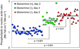 Graphical abstract: Raman microspectroscopy of live cells under autophagy-inducing conditions