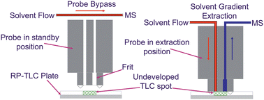 Graphical abstract: Direct extraction of urinary analytes from undeveloped reversed-phase thin layer chromatography plates using a solvent gradient combined with on-line electrospray ionisation ion mobility-mass spectrometry