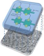 Graphical abstract: Noncovalent surface grafting of uranium complexed cucurbit[5]uril oligomer onto palm shell powder: a novel approach for selective uranyl ion extraction