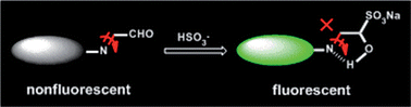 Graphical abstract: A fluorescent turn-on probe for bisulfite based on hydrogen bond-inhibited C [[double bond, length as m-dash]] N isomerization mechanism