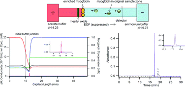 Graphical abstract: Migration behaviour of discontinuous buffers in capillary electrophoresis during protein enrichment