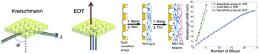 Graphical abstract: EOT or Kretschmann configuration? Comparative study of the plasmonic modes in gold nanohole arrays