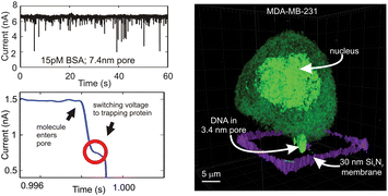 Graphical abstract: Using a nanopore for single molecule detection and single cell transfection