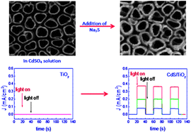 Graphical abstract: An in situ photoelectrochemical determination of hydrogen sulfide through generation of CdS nanoclusters onto TiO2 nanotubes