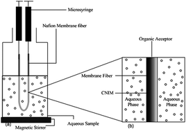 Graphical abstract: Carbon nanotube immobilized polar membranes for enhanced extraction of polar analytes