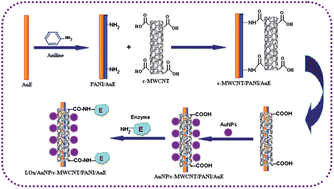 Graphical abstract: Development of amperometric lysine biosensors based on Au nanoparticles/multiwalled carbon nanotubes/polymers modified Au electrodes