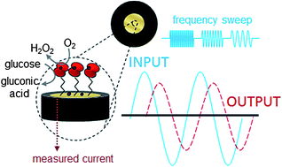 Graphical abstract: The promise of electrochemical impedance spectroscopy as novel technology for the management of patients with diabetes mellitus