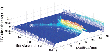 Graphical abstract: Spatio-temporally resolved detection on a microfluidic chip for monitoring the dynamic processes of molecular events