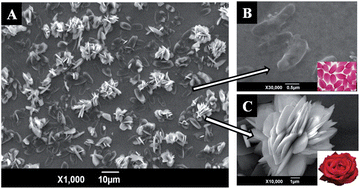 Graphical abstract: Ultrasonic-electrodeposition of hierarchical flower-like cobalt on petalage-like graphene hybrid microstructures for hydrazine sensing