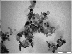 Graphical abstract: Immobilization of pectinase from Leucoagaricus gongylophorus on magnetic particles