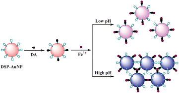 Graphical abstract: Simple, sensitive and selective detection of dopamine using dithiobis(succinimidylpropionate)-modified gold nanoparticles as colorimetric probes